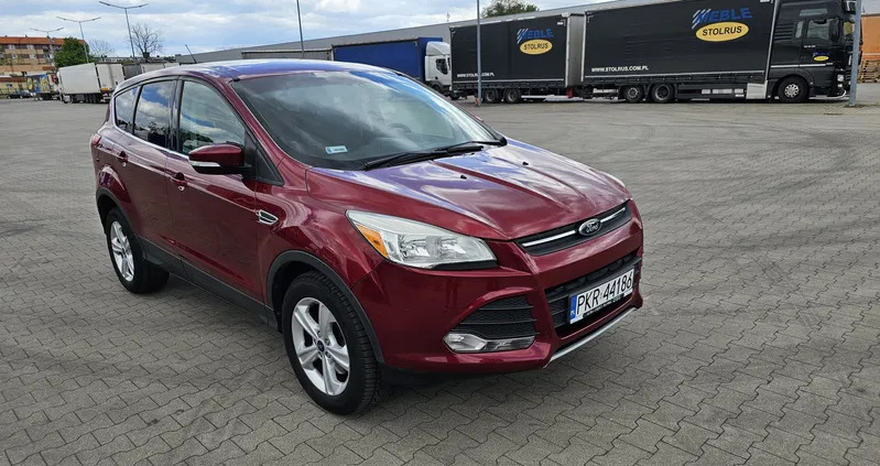 Ford Escape cena 46500 przebieg: 113000, rok produkcji 2013 z Krotoszyn małe 67